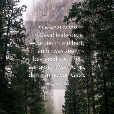 Picture 04 - 1 Samuël 21:12 NLD - En David leide deze woorden in zijn hart; en hij - Bible Verse Picture