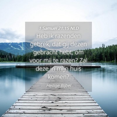 Picture 04 - 1 Samuël 21:15 NLD - Heb ik razenden gebrek, dat gij dezen gebracht - Bible Verse Picture