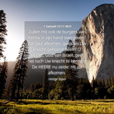 Picture 04 - 1 Samuël 23:11 NLD - Zullen mij ook de burgers van Kehila in zijn hand - Bible Verse Picture