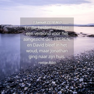 Picture 04 - 1 Samuël 23:18 NLD - En die beiden maakten een verbond voor het - Bible Verse Picture