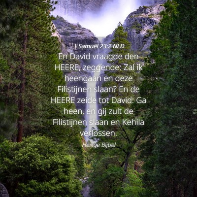 Picture 04 - 1 Samuël 23:2 NLD - En David vraagde den HEERE, zeggende: Zal ik - Bible Verse Picture