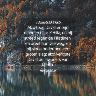 Picture 04 - 1 Samuël 23:5 NLD - Alzo toog David en zijn mannen naar Kehila, en - Bible Verse Picture