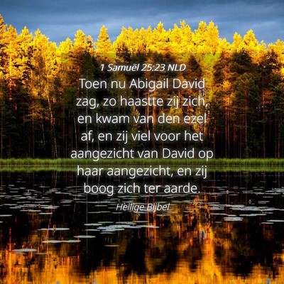 Picture 04 - 1 Samuël 25:23 NLD - Toen nu Abigail David zag, zo haastte zij zich, - Bible Verse Picture