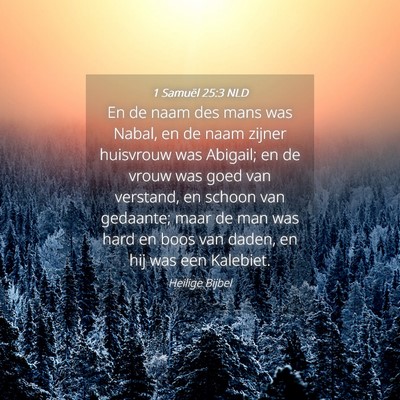 Picture 04 - 1 Samuël 25:3 NLD - En de naam des mans was Nabal, en de naam zijner - Bible Verse Picture