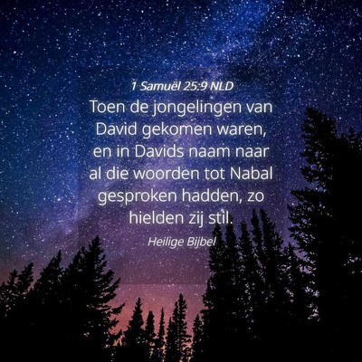 Picture 04 - 1 Samuël 25:9 NLD - Toen de jongelingen van David gekomen waren, en - Bible Verse Picture