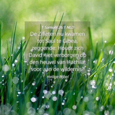 Picture 04 - 1 Samuël 26:1 NLD - De Zifieten nu kwamen tot Saul te Gibea, - Bible Verse Picture