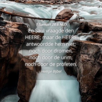 Picture 04 - 1 Samuël 28:6 NLD - En Saul vraagde den HEERE; maar de HEERE - Bible Verse Picture