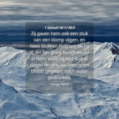 Picture 04 - 1 Samuël 30:12 NLD - Zij gaven hem ook een stuk van een klomp vijgen, - Bible Verse Picture