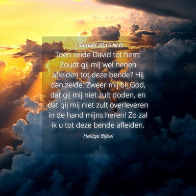 Picture 04 - 1 Samuël 30:15 NLD - Toen zeide David tot hem: Zoudt gij mij wel henen - Bible Verse Picture