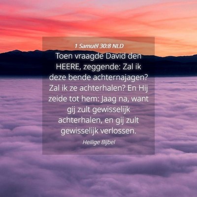 Picture 04 - 1 Samuël 30:8 NLD - Toen vraagde David den HEERE, zeggende: Zal ik - Bible Verse Picture