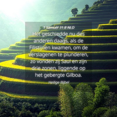 Picture 04 - 1 Samuël 31:8 NLD - Het geschiedde nu des anderen daags, als de - Bible Verse Picture