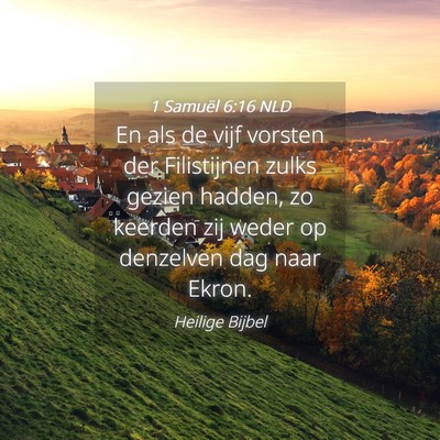 Picture 04 - 1 Samuël 6:16 NLD - En als de vijf vorsten der Filistijnen zulks - Bible Verse Picture