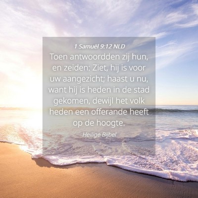Picture 04 - 1 Samuël 9:12 NLD - Toen antwoordden zij hun, en zeiden: Ziet, hij is - Bible Verse Picture