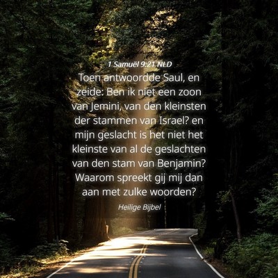Picture 04 - 1 Samuël 9:21 NLD - Toen antwoordde Saul, en zeide: Ben ik niet een - Bible Verse Picture