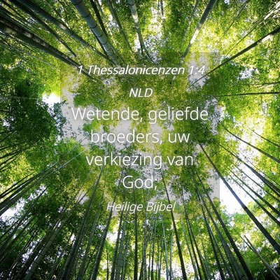 Picture 04 - 1 Thessalonicenzen 1:4 NLD - Wetende, geliefde broeders, uw verkiezing van - Bible Verse Picture