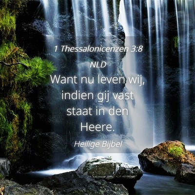 Picture 04 - 1 Thessalonicenzen 3:8 NLD - Want nu leven wij, indien gij vast staat in den - Bible Verse Picture