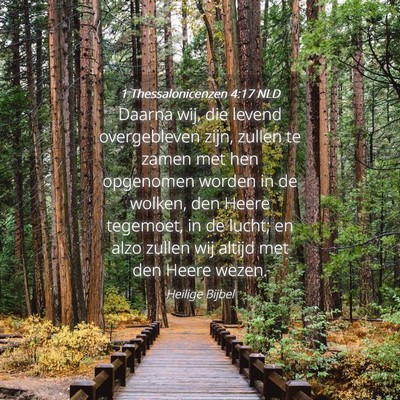 Picture 04 - 1 Thessalonicenzen 4:17 NLD - Daarna wij, die levend overgebleven zijn, zullen - Bible Verse Picture