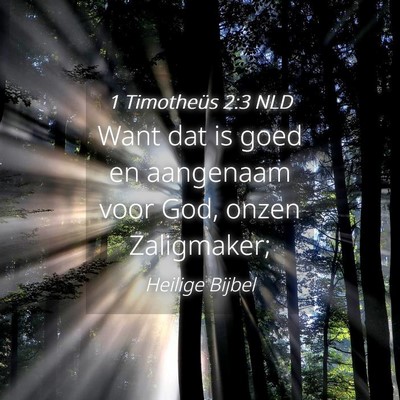 Picture 04 - 1 Timotheüs 2:3 NLD - Want dat is goed en aangenaam voor God, onzen - Bible Verse Picture