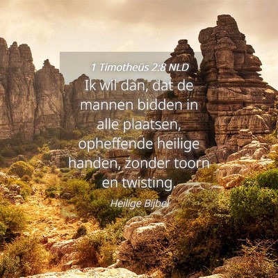 Picture 04 - 1 Timotheüs 2:8 NLD - Ik wil dan, dat de mannen bidden in alle - Bible Verse Picture