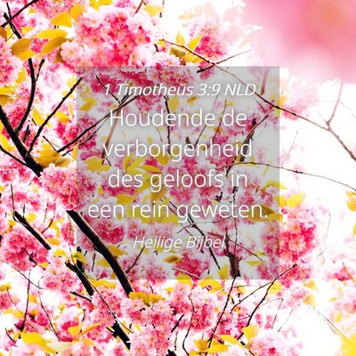 Picture 04 - 1 Timotheüs 3:9 NLD - Houdende de verborgenheid des geloofs in een rein - Bible Verse Picture