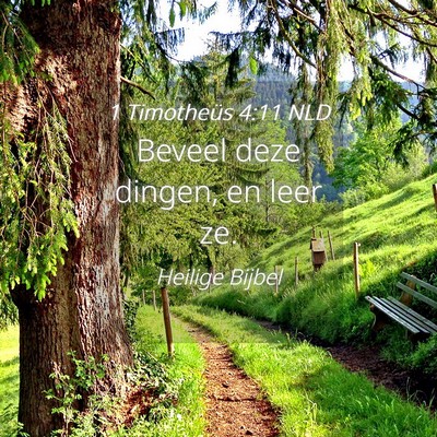 Picture 04 - 1 Timotheüs 4:11 NLD - Beveel deze dingen, en leer - Bible Verse Picture