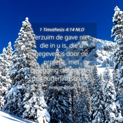 Picture 04 - 1 Timotheüs 4:14 NLD - Verzuim de gave niet, die in u is, die u gegeven - Bible Verse Picture