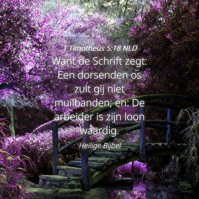 Picture 04 - 1 Timotheüs 5:18 NLD - Want de Schrift zegt: Een dorsenden os zult gij - Bible Verse Picture