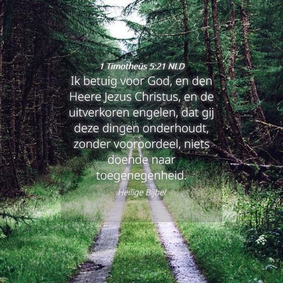 Picture 04 - 1 Timotheüs 5:21 NLD - Ik betuig voor God, en den Heere Jezus Christus, - Bible Verse Picture