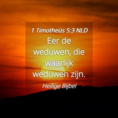 Picture 04 - 1 Timotheüs 5:3 NLD - Eer de weduwen, die waarlijk weduwen - Bible Verse Picture