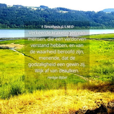 Picture 04 - 1 Timotheüs 6:5 NLD - Verkeerde krakelingen van mensen, die een - Bible Verse Picture