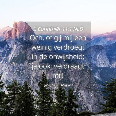 Picture 04 - 2 Corinthiër 11:1 NLD - Och, of gij mij een weinig verdroegt in de - Bible Verse Picture