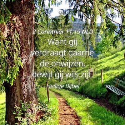 Picture 04 - 2 Corinthiër 11:19 NLD - Want gij verdraagt gaarne de onwijzen, dewijl gij - Bible Verse Picture