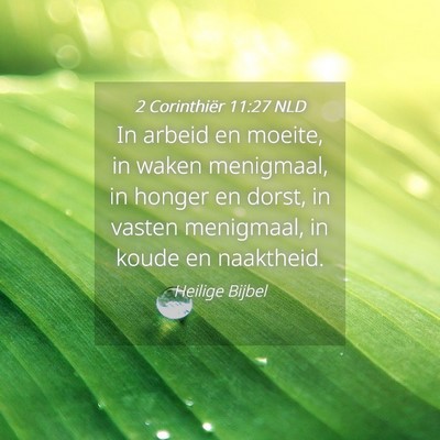 Picture 04 - 2 Corinthiër 11:27 NLD - In arbeid en moeite, in waken menigmaal, in - Bible Verse Picture