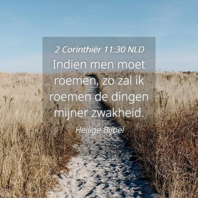 Picture 04 - 2 Corinthiër 11:30 NLD - Indien men moet roemen, zo zal ik roemen de - Bible Verse Picture