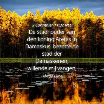 Picture 04 - 2 Corinthiër 11:32 NLD - De stadhouder van den koning Aretas in Damaskus, - Bible Verse Picture