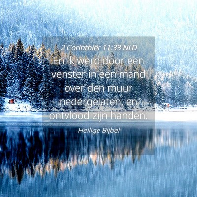 Picture 04 - 2 Corinthiër 11:33 NLD - En ik werd door een venster in een mand over den - Bible Verse Picture