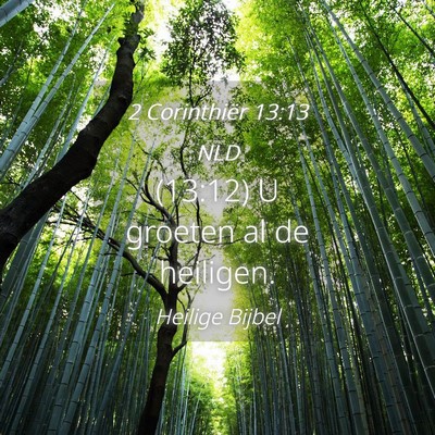 Picture 04 - 2 Corinthiër 13:13 NLD - (13:12) U groeten al de - Bible Verse Picture