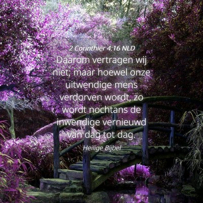 Picture 04 - 2 Corinthiër 4:16 NLD - Daarom vertragen wij niet; maar hoewel onze - Bible Verse Picture