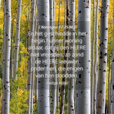 Picture 04 - 2 Koningen 17:25 NLD - En het geschiedde in het begin hunner woning - Bible Verse Picture