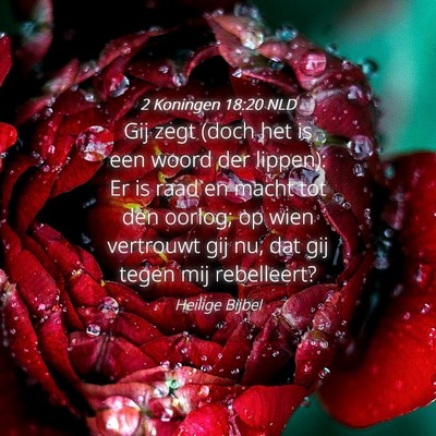 Picture 04 - 2 Koningen 18:20 NLD - Gij zegt (doch het is een woord der lippen): Er - Bible Verse Picture