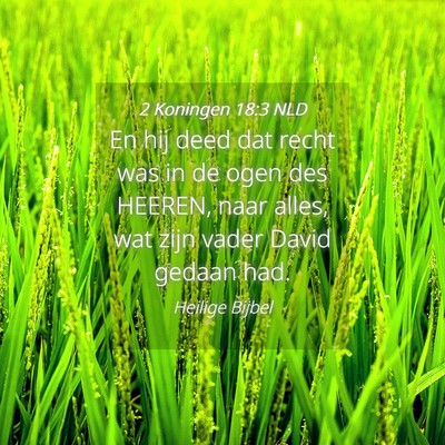 Picture 04 - 2 Koningen 18:3 NLD - En hij deed dat recht was in de ogen des HEEREN, - Bible Verse Picture