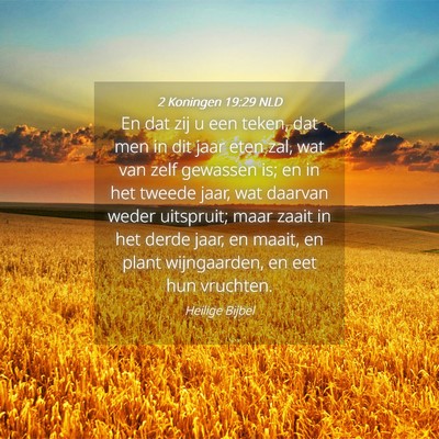 Picture 04 - 2 Koningen 19:29 NLD - En dat zij u een teken, dat men in dit jaar eten - Bible Verse Picture