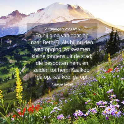 Picture 04 - 2 Koningen 2:23 NLD - En hij ging van daar op naar Beth-El. Als hij nu - Bible Verse Picture