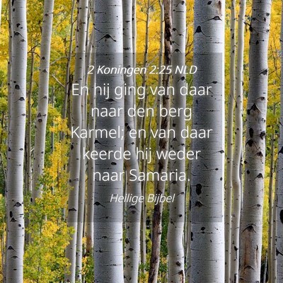 Picture 04 - 2 Koningen 2:25 NLD - En hij ging van daar naar den berg Karmel; en van - Bible Verse Picture