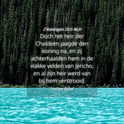 Picture 04 - 2 Koningen 25:5 NLD - Doch het heir der Chaldeen jaagde den koning na, - Bible Verse Picture