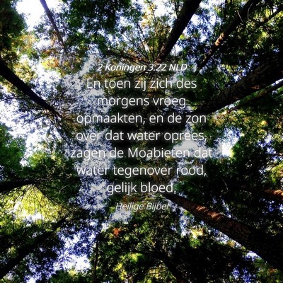 Picture 04 - 2 Koningen 3:22 NLD - En toen zij zich des morgens vroeg opmaakten, en - Bible Verse Picture