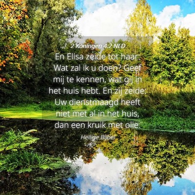 Picture 04 - 2 Koningen 4:2 NLD - En Elisa zeide tot haar: Wat zal ik u doen? Geef - Bible Verse Picture