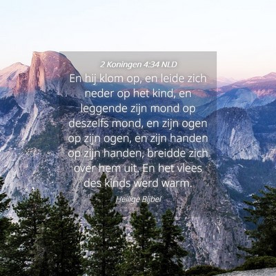 Picture 04 - 2 Koningen 4:34 NLD - En hij klom op, en leide zich neder op het kind, - Bible Verse Picture