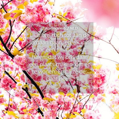 Picture 04 - 2 Koningen 6:2 NLD - Laat ons toch tot aan de Jordaan gaan, en elk van - Bible Verse Picture