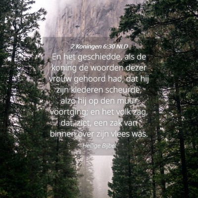 Picture 04 - 2 Koningen 6:30 NLD - En het geschiedde, als de koning de woorden dezer - Bible Verse Picture
